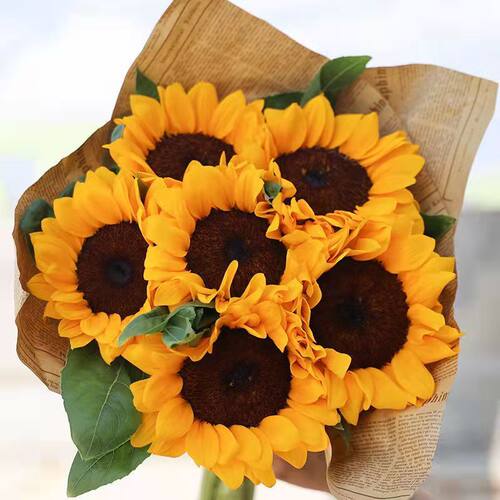 黄莺花向日葵太阳花直发特价斗南新鲜水培鲜花客厅家用混搭花束礼 - 图1