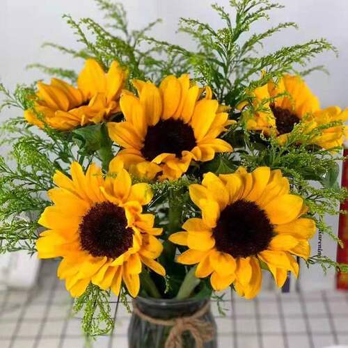 黄莺花向日葵太阳花直发特价斗南新鲜水培鲜花客厅家用混搭花束礼 - 图3