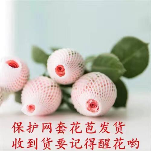 玫瑰鲜花9.9包邮昆明基地直批客厅室内水养真花花束云南直发鲜花 - 图2