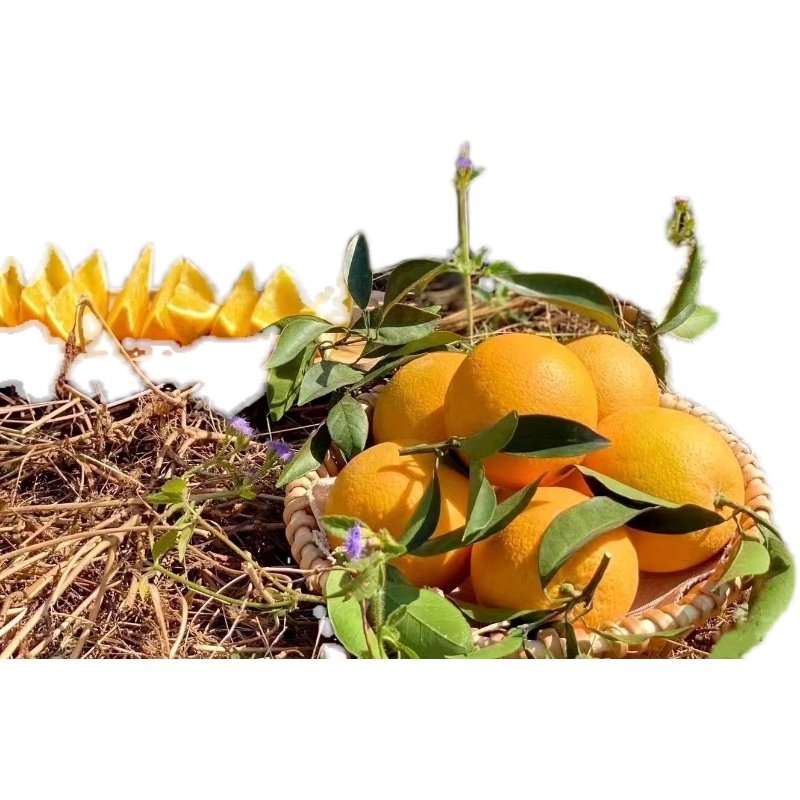 正宗赣南脐橙信丰产地直发赣州新鲜橙子10斤顺丰包邮当季孕妇水果,淘宝优惠券,粉丝福利购,淘宝优惠卷