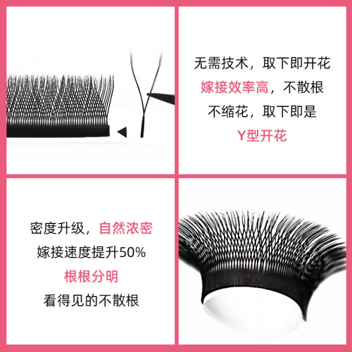 y型嫁接睫毛0.07单yy网状编织款一秒开花郁金香混可选浓密浓密 - 图0