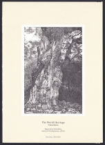 Printed copy of the Japanese engraving version of the greeting card (World Heritage-Uk Jiu Island Giugi) National Printing Office