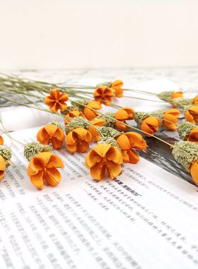 永生花干花易花坊颜色鲜艳