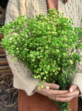永生满天星超大干花花束
