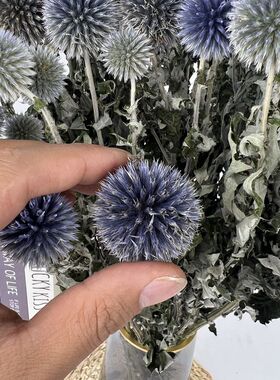 易花坊天然原色干花包邮
