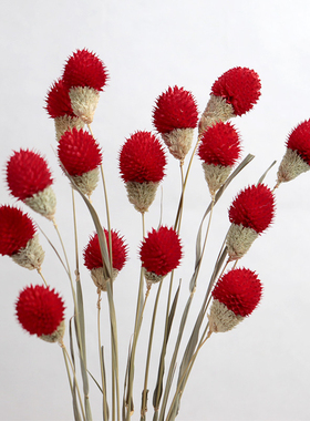 家居装饰干花易花坊小花束