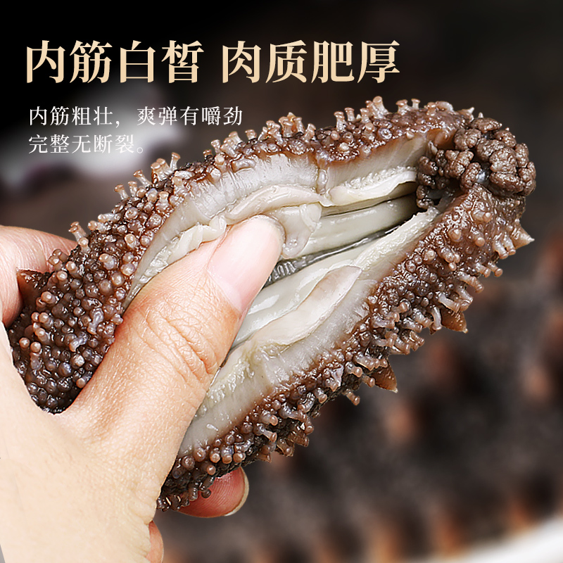 大连海参即食刺参鲜活淡干海叁辽参干货野生海生500g特价单个装袋 - 图1