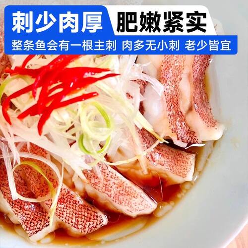 红石斑鱼鲜活冷冻超大红鱼龙胆富贵鱼深海鲈鱼多宝鱼新鲜海鲜水产 - 图2