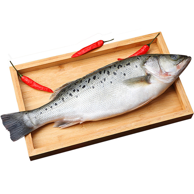 海鲈鱼新鲜冷冻海鱼鲜活深海鱼6条七星鱼海鲜水产海产品冰鱼卢鱼 - 图3