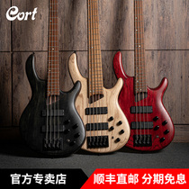 Port Courtcourt Artisan B4 B5 Element Element Electric Bess Professional 4 String 5 String Electric bass