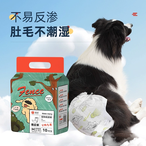 Петутная собака Corgi Teddy мужчина и женская собака Физиологические штаны тетя