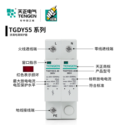 天正TGDY55II浪涌电涌保护器2P4P防雷避雷器20KA40KA二级380V家用-图0