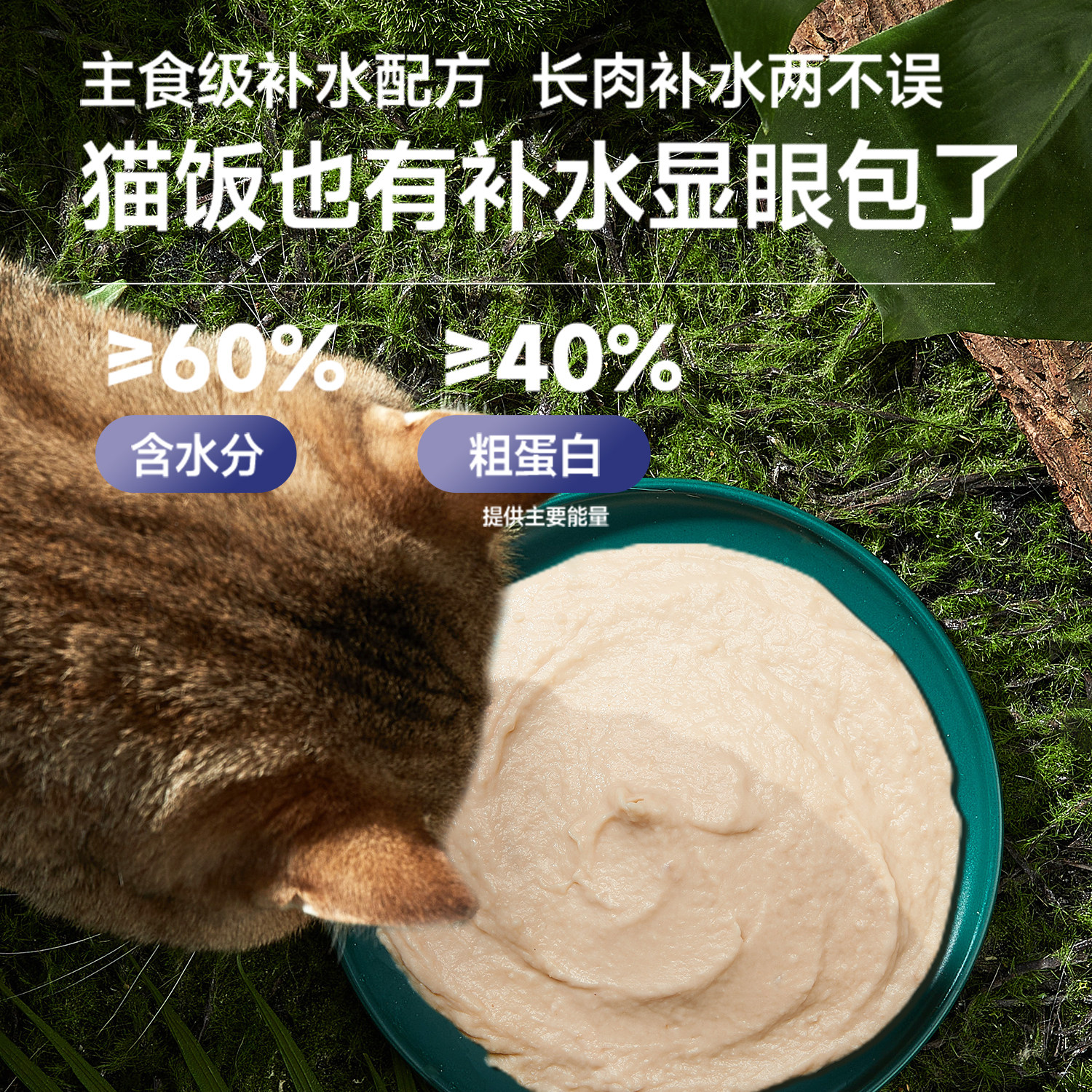 宽福主食猫饭全价主粮湿粮鲜肉奶酪猫罐头主食罐营养补水S,淘宝优惠券,粉丝福利购,淘宝优惠卷