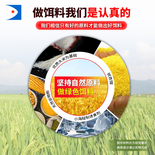 虾搓饵 米饭饵虾肉伴侣 用量省状态好黑坑省钱饵王海宁刘晓春研制 - 图0