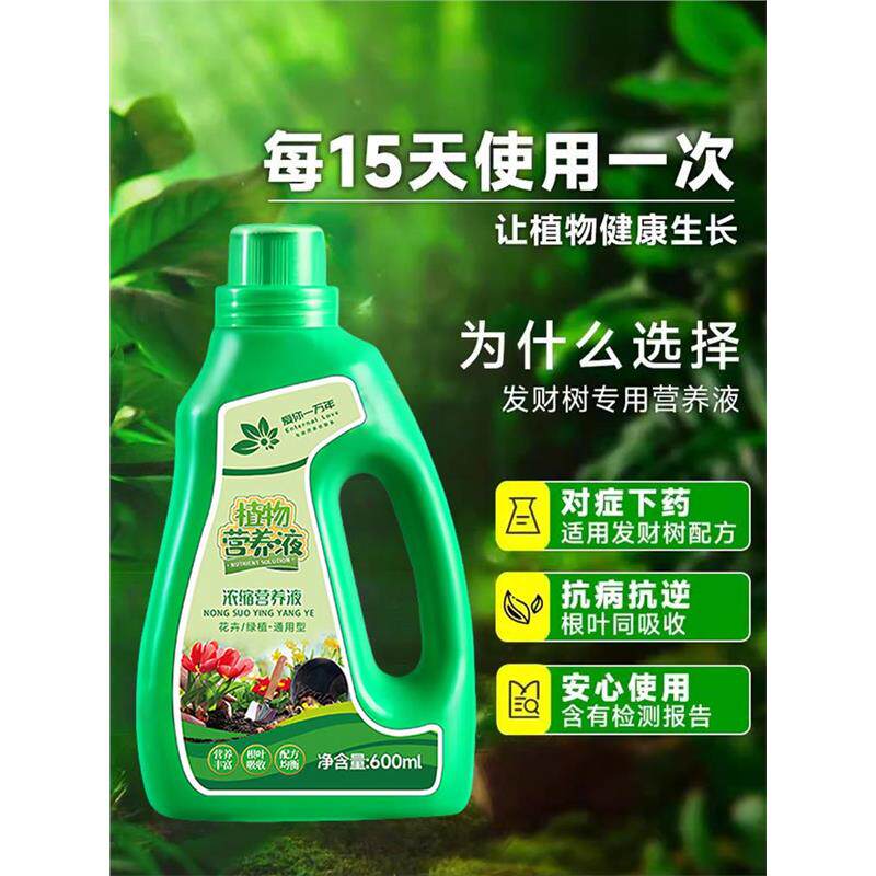 发财树营养液肥料专用肥专治烂根掉叶黄叶室内盆栽绿植物花肥通用