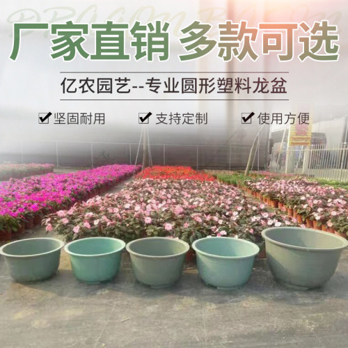 塑料圆花盆超特大号大码清仓庭院种树龙缸胶盆加厚铁树脂花盆落地 - 图1