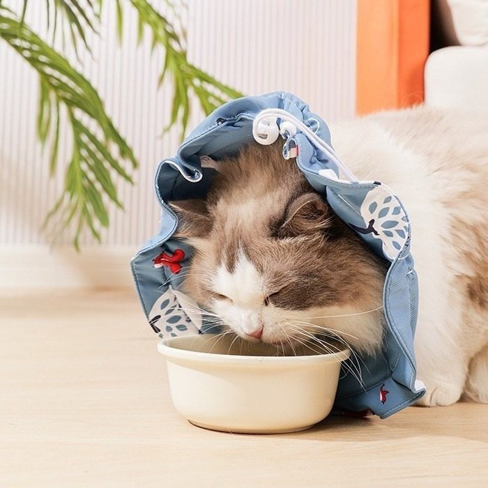 猫咪宠物绝育脖套脖圈可变形防添抓项圈防水耻辱软圈猫伊丽莎白圈,淘宝优惠券,粉丝福利购,淘宝优惠卷