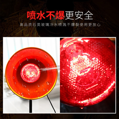 保温灯养殖取暖防爆节能猪用红外线畜牧小鸡仔猪加热烤灯保暖灯泡 - 图0