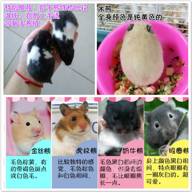 商品详情图片