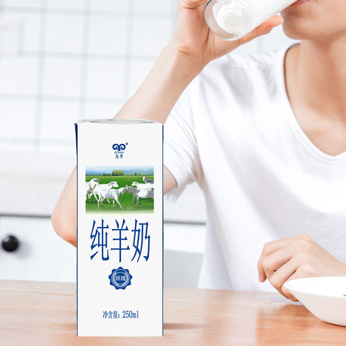 【精品礼盒】九羊纯羊奶250ml*12盒液态羊奶中老年成人儿童早餐奶 - 图0