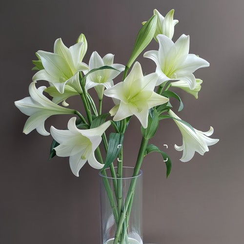 香水百合花鲜花直批粉白黄家用黄天霸水养斗南花束云南花卉昆明 - 图1