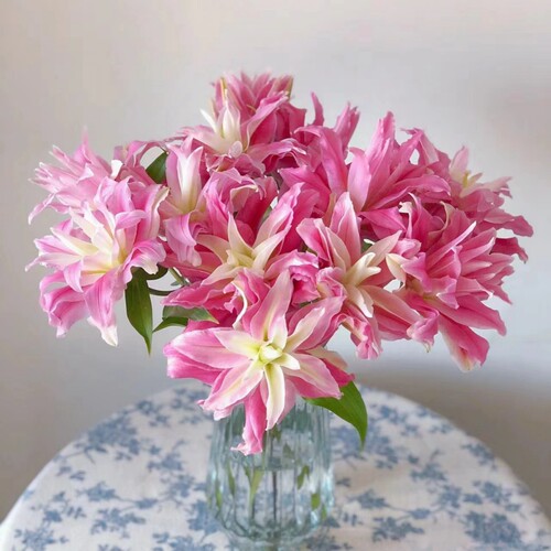 鲜花重瓣香水百合红丝带粉黛戴安娜昆明斗南基地直发家用水培插花 - 图0