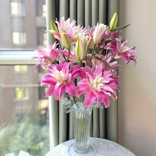 鲜花重瓣香水百合红丝带粉黛戴安娜昆明斗南基地直发家用水培插花 - 图2