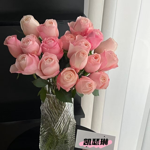 凯瑟琳粉色玫瑰花束云南昆明斗南鲜花基地直发顺丰生日礼物送人花 - 图0
