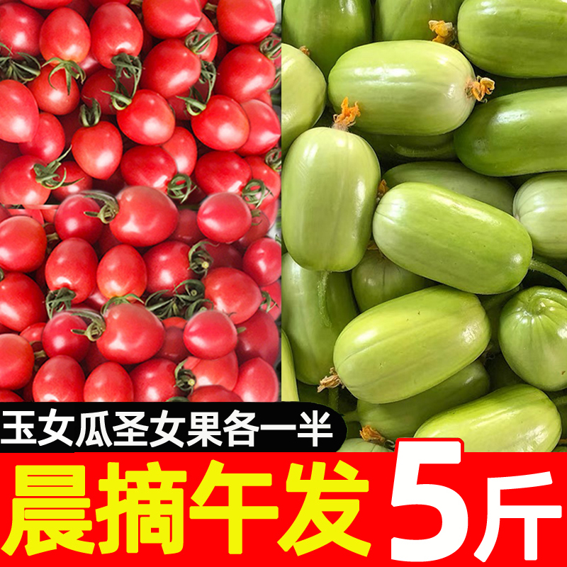 玉女瓜圣女果新鲜水果黄瓜5斤小番茄西红柿子拇指千禧生吃自然熟