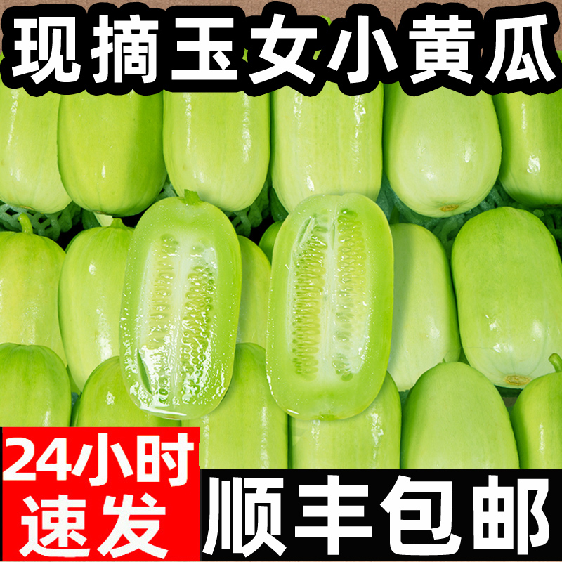 玉女瓜圣女果新鲜水果黄瓜5斤小番茄西红柿子拇指千禧生吃自然熟