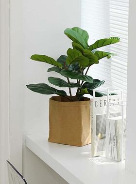 仿真琴叶榕植物高仿龙舌兰盆栽