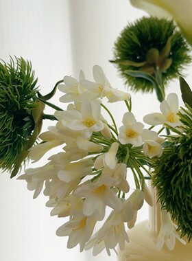 绿石竹仿真花客厅装饰假花摆件高品质绿毛球花艺插花花束家居摆设