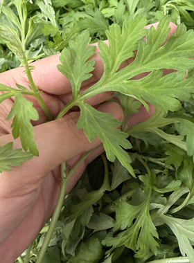 花满涧野生艾叶慕斯草本沐浴露
