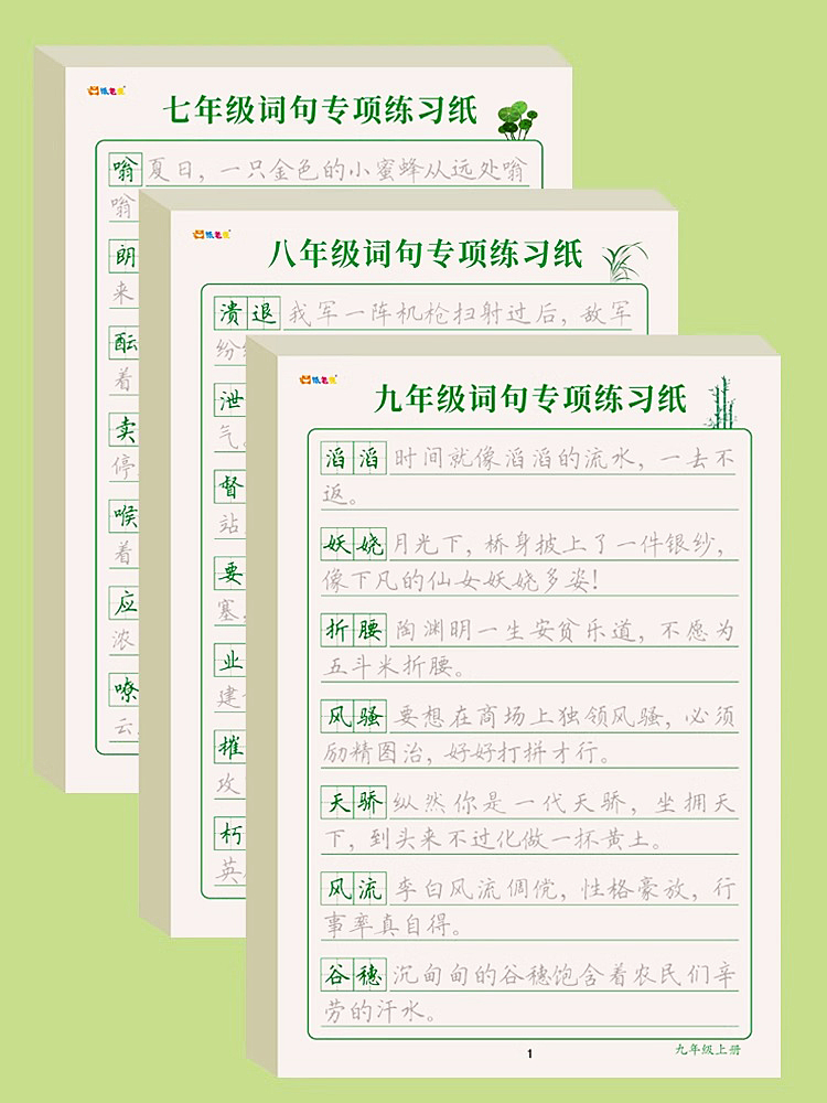 初中生字帖优美句子积累好词好句人教版语文同步练字帖初一学生硬笔练习临摹本大全小升初暑假衔接七年级八九年级作文专用每日一练 - 图2