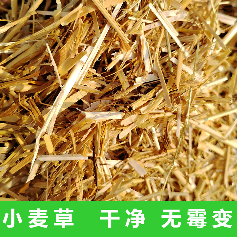 新小麦秸秆碎麦草鸟鸽子宠物垫窝保暖牛羊干草料兔子装修和泥装饰,淘宝优惠券,粉丝福利购,淘宝优惠卷