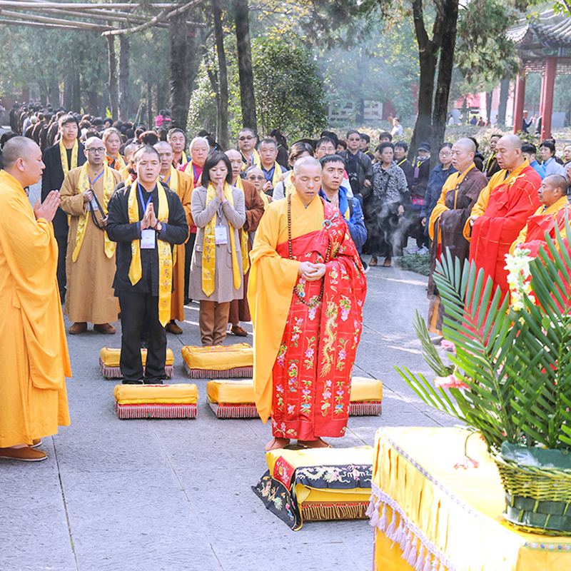 独立私家团河南旅游郑州洛阳少林寺龙门石窟老君山4天3晚品质纯玩 - 图3