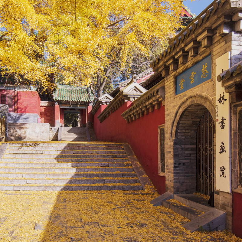 独立私家小团洛阳出发到嵩山少林寺一日游私家团看功夫表演三皇寨 - 图1