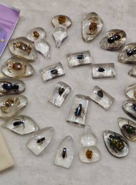 真昆虫琥珀标本儿童挖掘考古盲盒虫珀配件学生教学挂件六一礼物