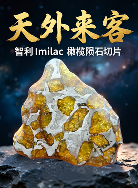 智利Imilac橄榄陨石切片 保真橄榄石石铁陨石高端天外来客