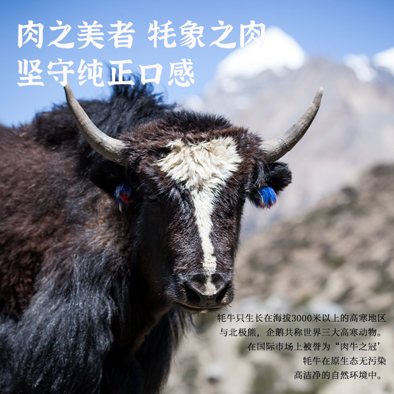 草原惠成原味牦牛腱子肉即食熟食真空牛肉腱子小包装150g,淘宝优惠券,粉丝福利购,淘宝优惠卷