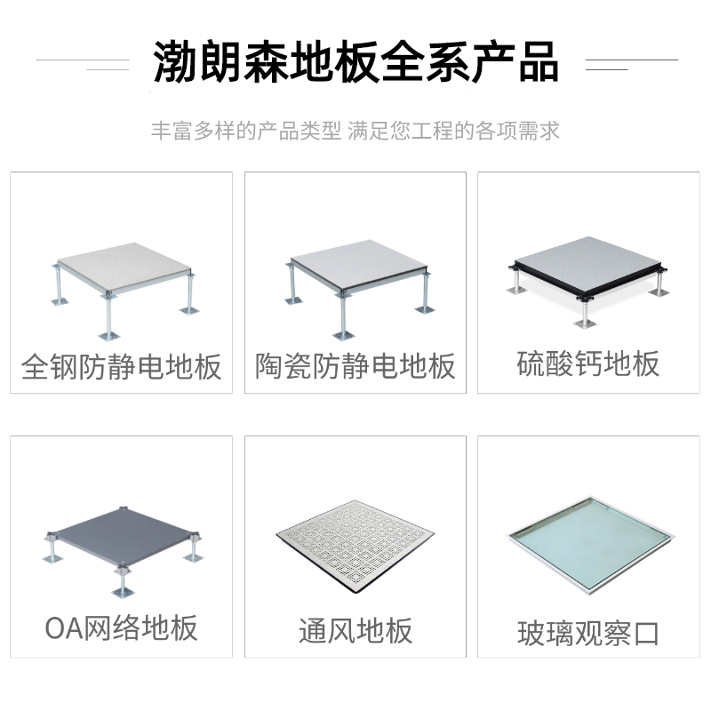 渤朗森国标全钢防静电地板600 600机房pvc陶瓷板高架空硫酸钙地板-图0