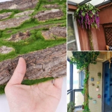 Моделирование и ложная кора Декоративная булочка Столб Огненные столбы подводные водопроводные трубы покрывают украшение творческих комнат в внутреннем балконе искусственный ландшафт