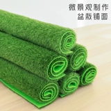 Мох Мосс Пол напол Мосс