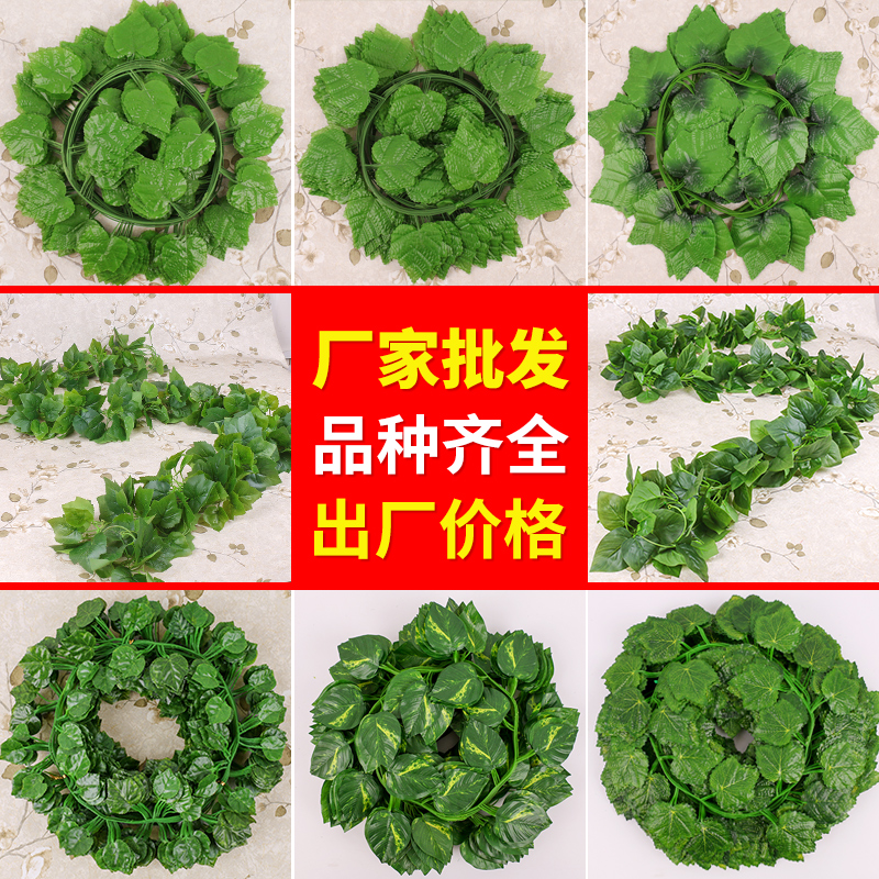 仿真葡萄叶假花藤条藤蔓植物塑料绿萝树叶子绿叶下水管道装饰吊顶 - 图2