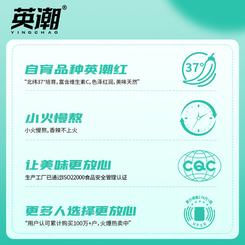 英潮鲜椒酱虎邦辣酱虎皮蒜蓉210g大瓶装牛肉酱下饭拌面酱魔鬼特辣 - 图0