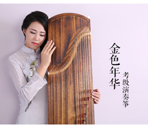 Music Tung Wood Solid Wood Playing Grade Ancient Zither Entrance Examination Grade Guzheng Pure Tung Wood Vegetarian Side Playing Guzheng