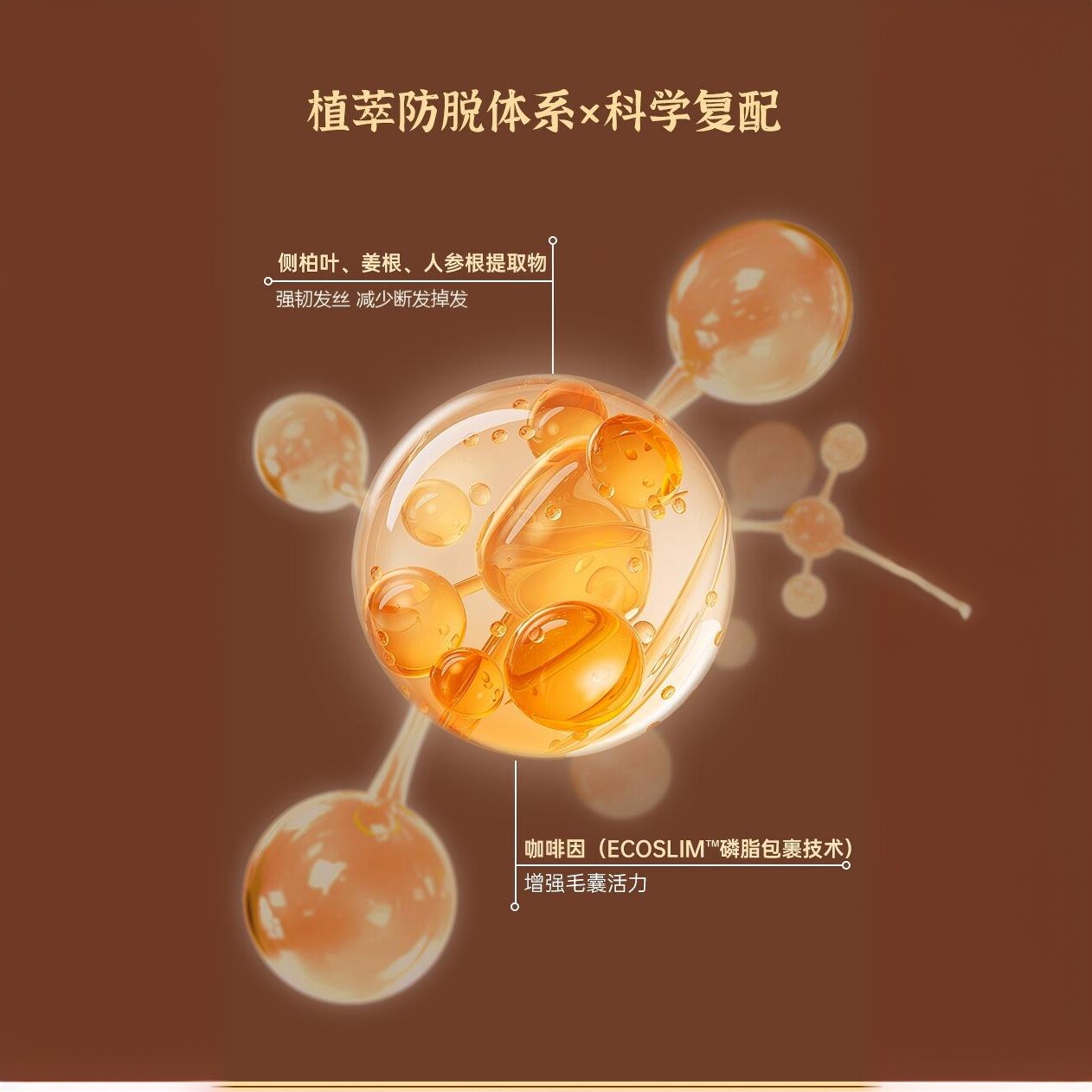 瑛派儿生姜防脱洗发水固发防脱发育发液增发密发控油蓬松洗发水正,淘宝优惠券,粉丝福利购,淘宝优惠卷