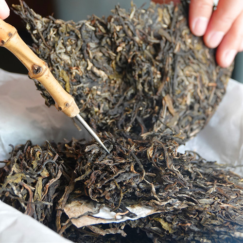 【口粮生茶】2020云集.生 清甜优雅 石昆牧老师定制系列 陈料制作 - 图1