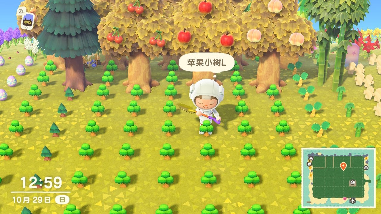 动物之森素材动物森友会铃钱动森家具diy机票里数鱼饵东森,淘宝优惠券,粉丝福利购,淘宝优惠卷