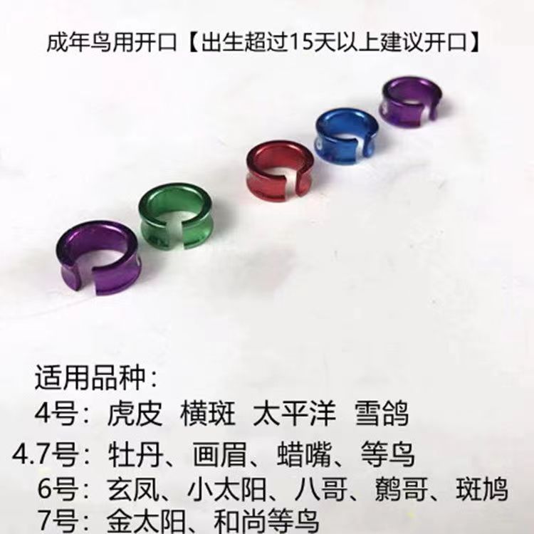 鸟脚环铝合金脚扣闭口开口环海八鹩哥鸟虎皮玄凤牡丹鹦鹉文鸟玉鸟-图0